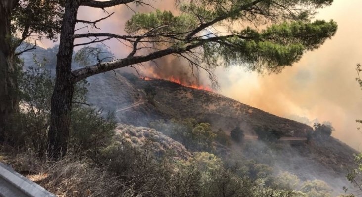 Imágenes del incendio en Tejeda