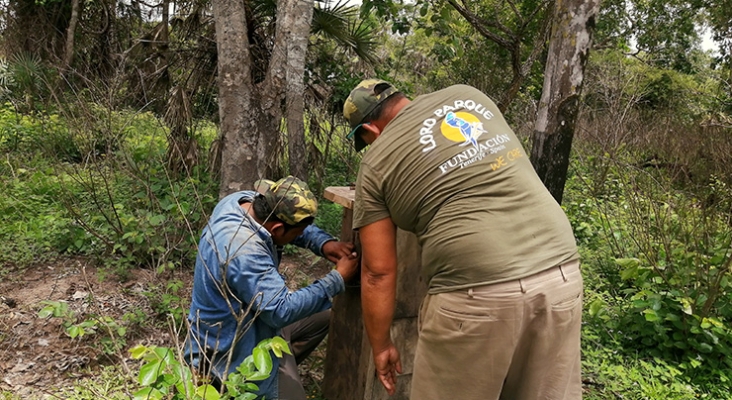 Biologos desarrollando trabajo de campo en el proyecto de conservación de LPF con el Guacamayo Barbazul