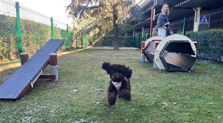 Área para perros en la Terminal T1 del Aeropuerto Adolfo Suárez Madrid Barajas | Foto: Aena