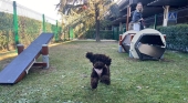 Área para perros en la Terminal T1 del Aeropuerto Adolfo Suárez Madrid Barajas | Foto: Aena