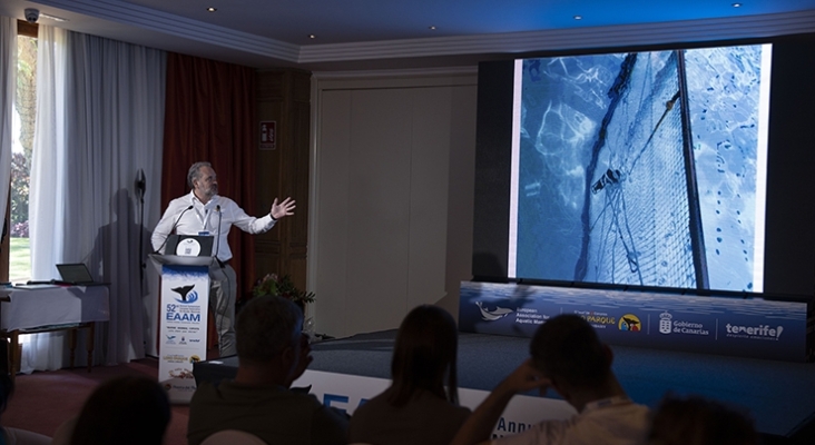 Javier Almunia, director de Loro Parque Fundación