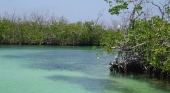 Manglares de Nichupté en Cancún (México)