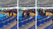 El vídeo viral de un delfín saltando fuera de una piscina reabre el debate sobre este tipo de espectáculos