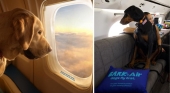 La aerolínea exclusiva para perros Bark Air culmina su primer vuelo con éxito